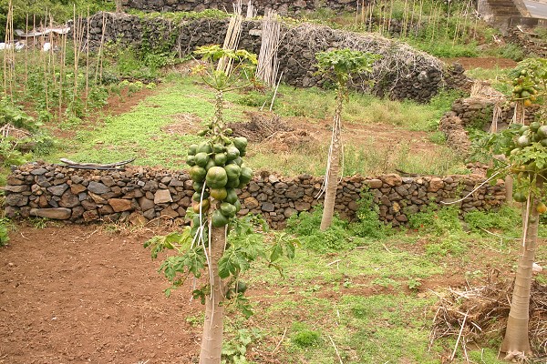 Madeira červen 2013
