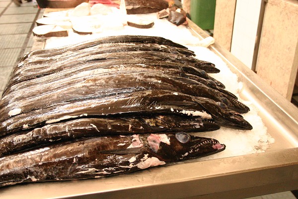 Madeira červen 2013