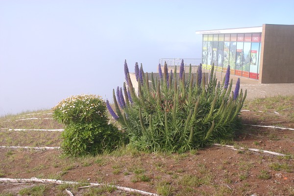 Madeira červen 2013