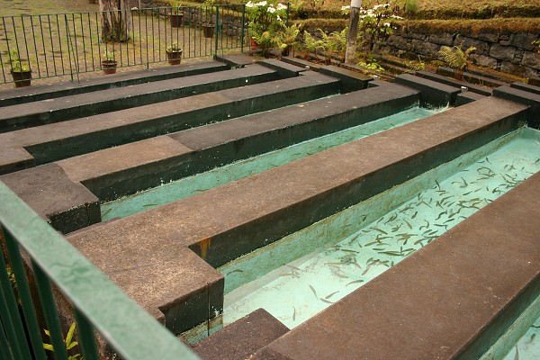 Madeira červen 2013