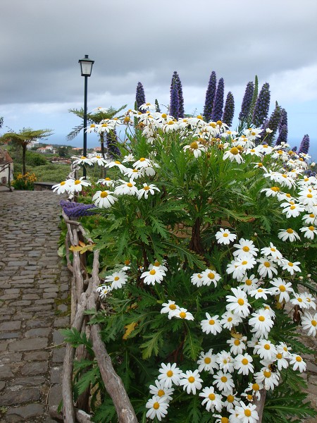 Madeira červen 2013