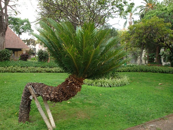 Madeira červen 2013