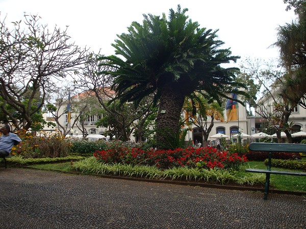 Madeira červen 2013