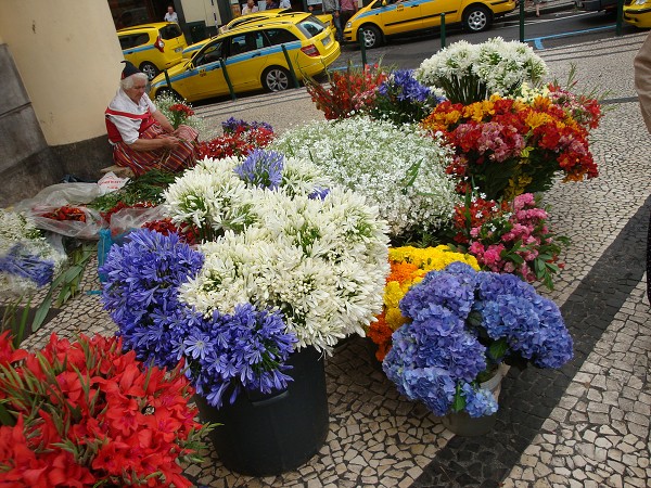 Madeira červen 2013