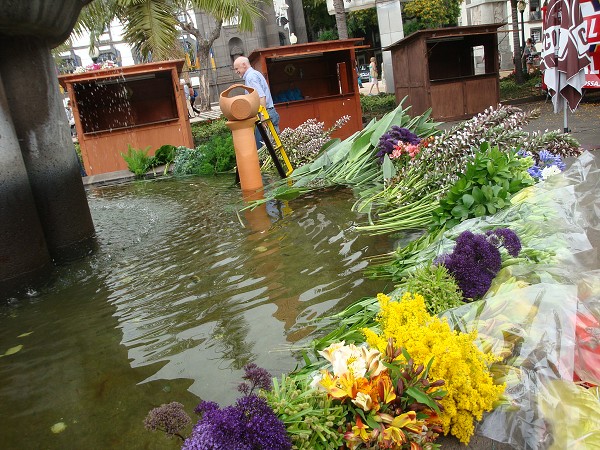 Madeira červen 2013
