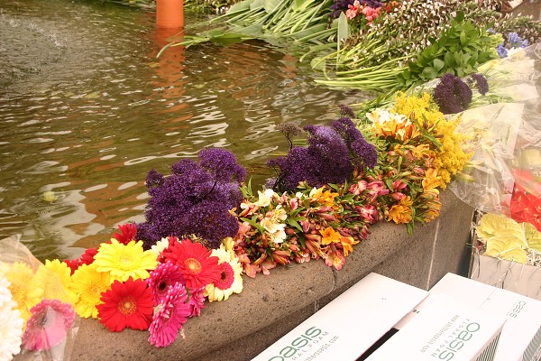 Madeira červen 2013
