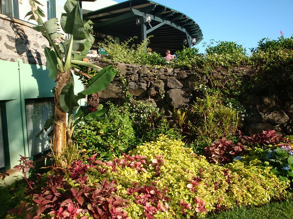 Madeira červen 2013