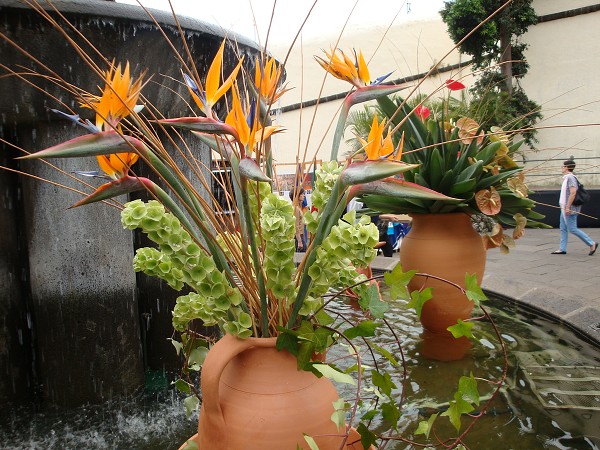 Madeira červen 2013